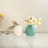 sg-11134201-7rdwr-mck24yrmoz1036.webp Random Ceramic Vase Mini Round Flower Vessels Desktop Colorful Vase